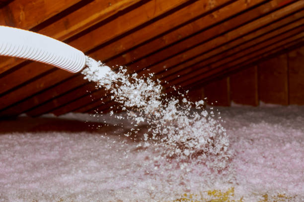 Best Specialty Insulation in Kingston, IL