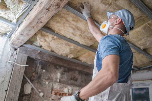 Best Residential Insulation in Kingston, IL